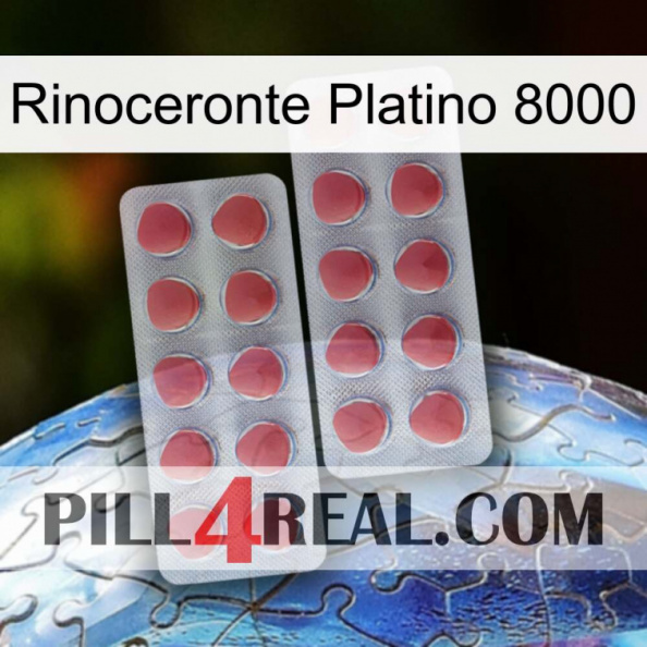 Rhino Platinum 8000 19.jpg